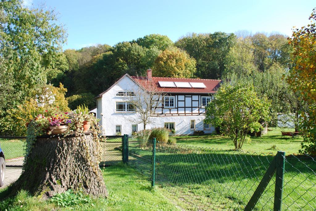 Ferienwohnung Obermühle Ballstädt Habitación foto